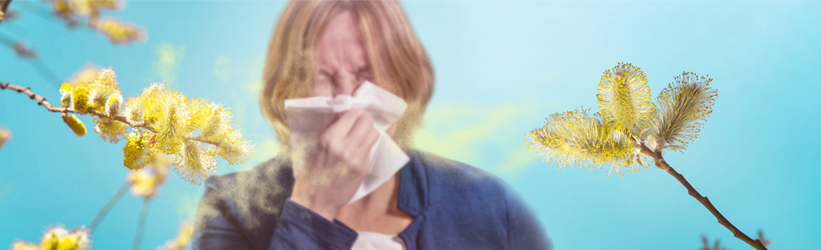 Frau mit Symptomen der allergischen Rhinitis: Verstopfte Nase und tränende Augen  
