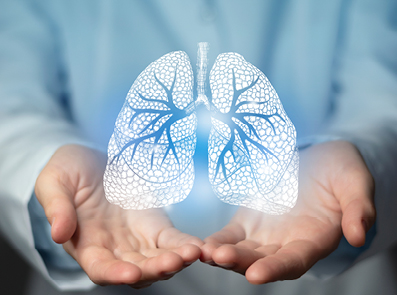 Arzt hält Lunge 