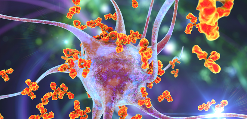 Grafische Darstellung eines Neurons