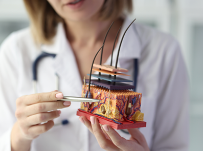 Anatomisches Hautmodell zur CME-Fortbildung über atopische Dermatitis bei Kindern und Erwachsenen