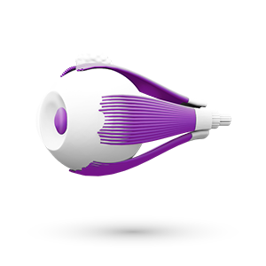 Augenerkrankungen Glaukom intraokularer Druck