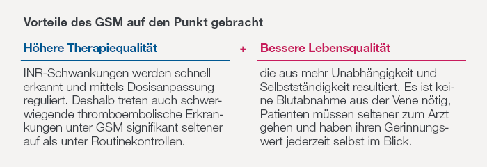 Die Abbildung zeigt die Vorteile die zwei größten Vorteile des GSM