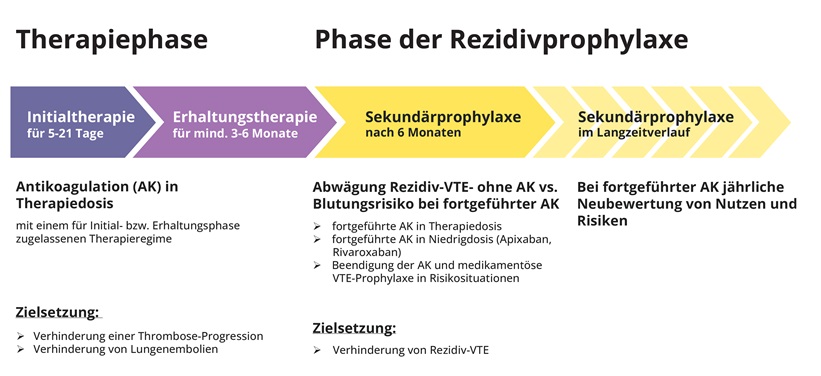 Schaubild Behandlungsleitlinien